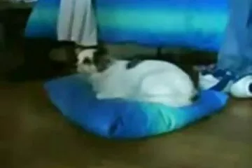 الرجل بشكل جميل يلهث الجبهة في حالة افلام سكسي مترجم سكر في المنزل.